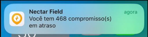 Notifica__es-Exemplo.png