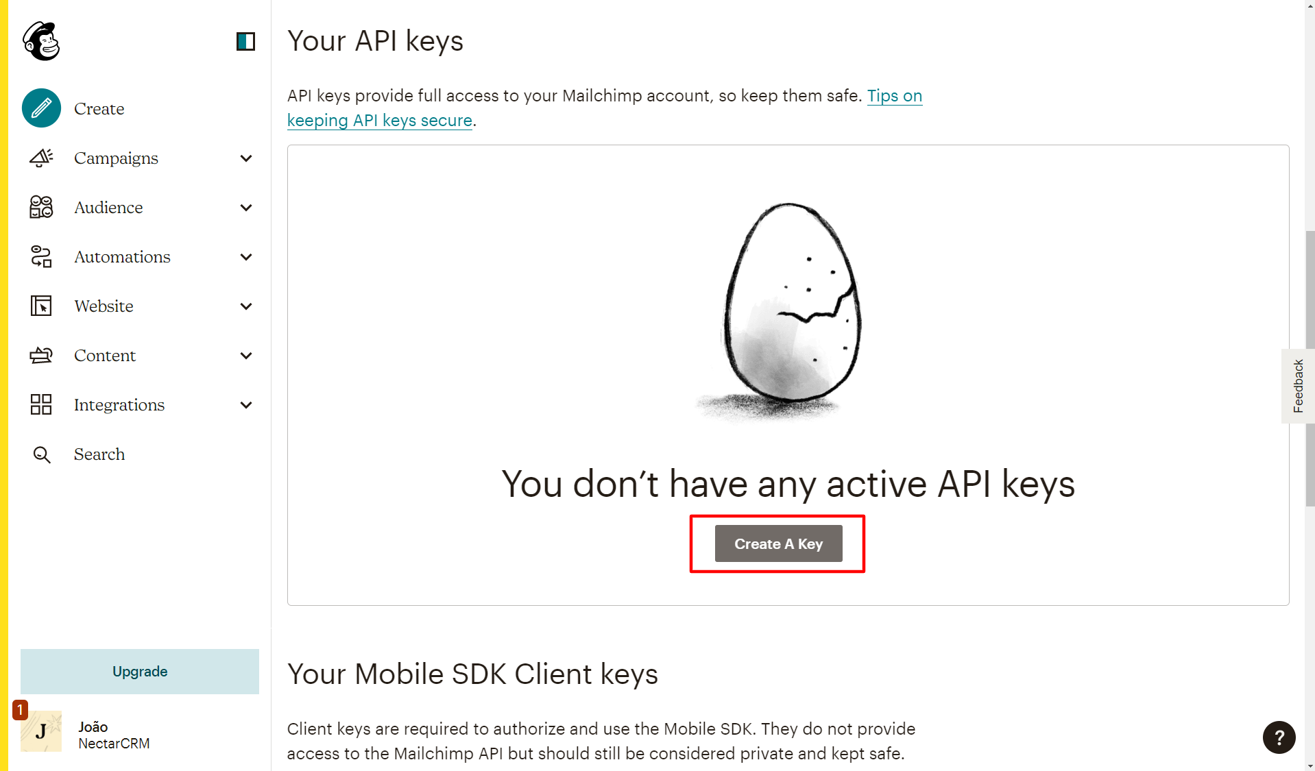 Mailchimp-02.png